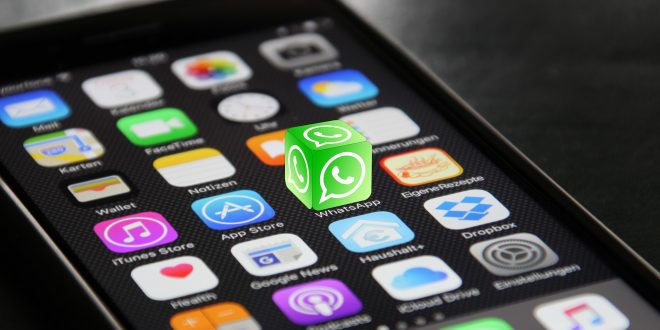 Tak Ribet, Berikut Cara Membuat Pesan Otomatis di Whatsapp Biasa. Yuk Ikuti Langkahnya!