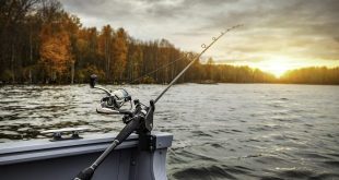 6 Aplikasi Untuk Memancing Ikan di Laut yang Direkomendasikan